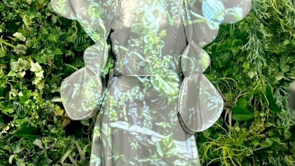 ①透明にみえる服